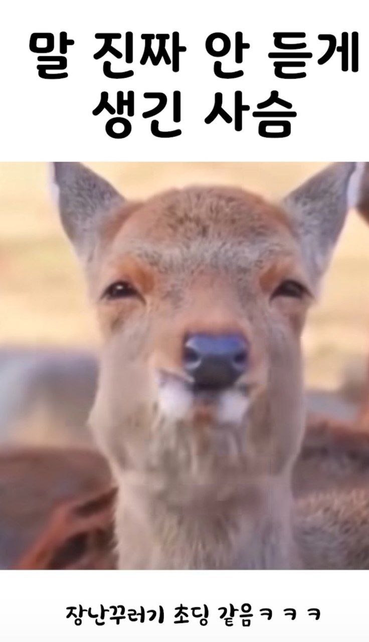 GG